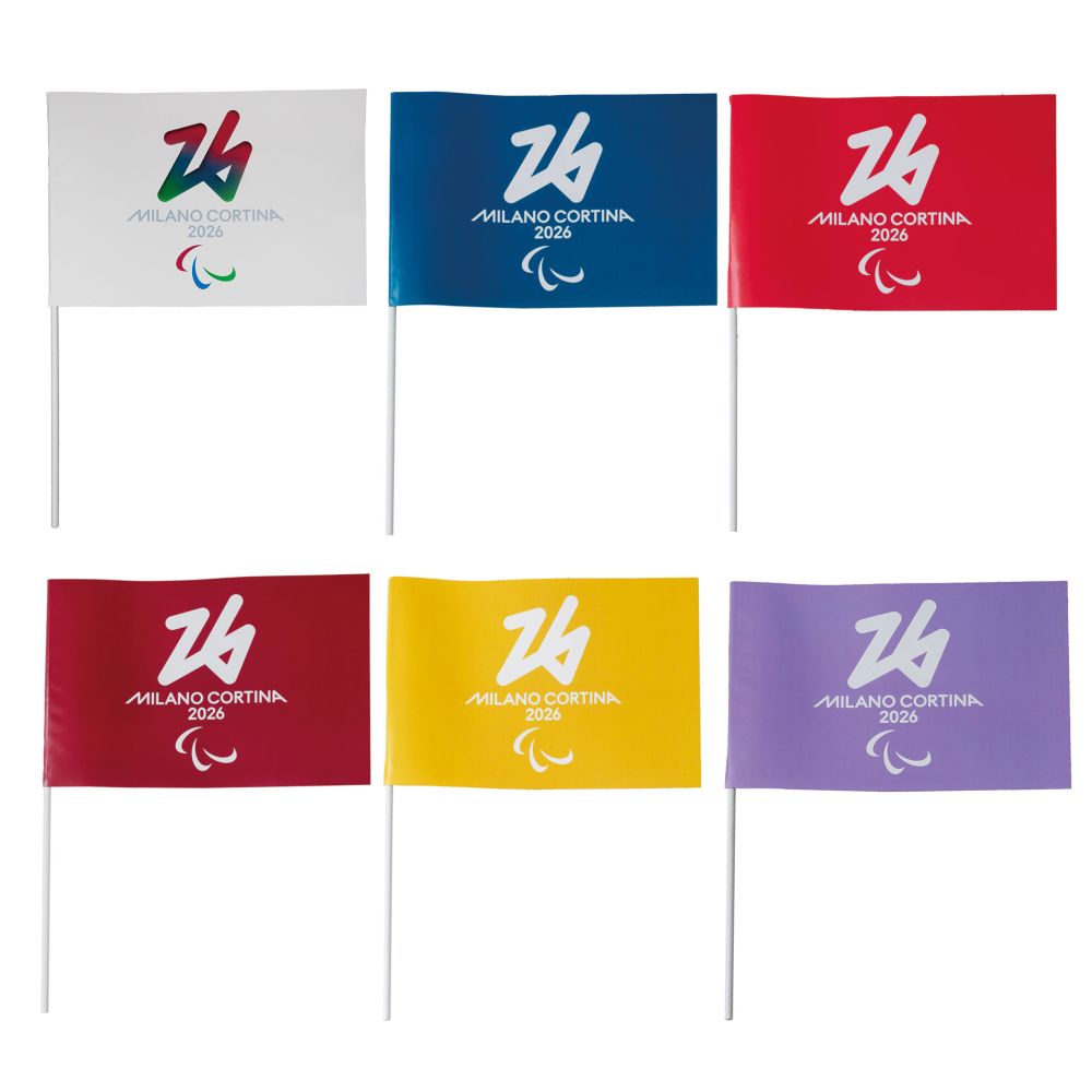 KIT 6 BANDIERINE IN CARTA CON ASTINA 30X20CM COLORI VARI PARALYMPIC EMBL