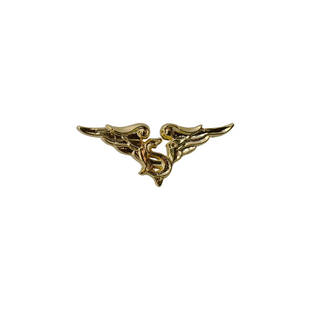 DISTINTIVO IN METALLO DORATO ISPETTORATO SICUREZZA VOLO RETRO A 2 CHIODI