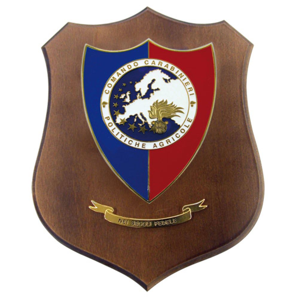 CREST COMANDO CARABINIERI POLITICHE AGRICOLE MIS CM 22,5X17,5
