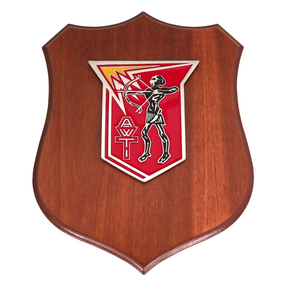 CREST IN METALLO SMALTATO BASE LEGNO 22,5X17,5CM AWTI AERONAUTICA MILITARE