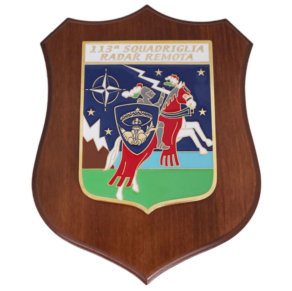 CREST IN METALLO SMALTATO BASE LEGNO 22,5X17,5CM 113 SQUADRIGLIA RADAR REMOTA AERONAUTICA MILITARE