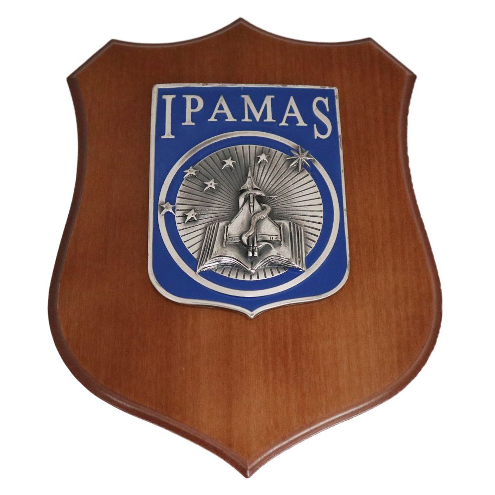 CREST IN METALLO SMALTATO BASE LEGNO 22,5X17,5CM IPAMAS AERONAUTICA MILITARE