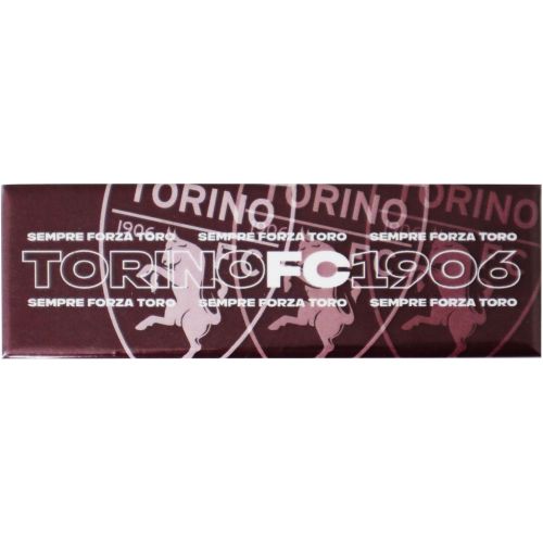 TORINO FC