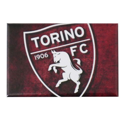 TORINO FC