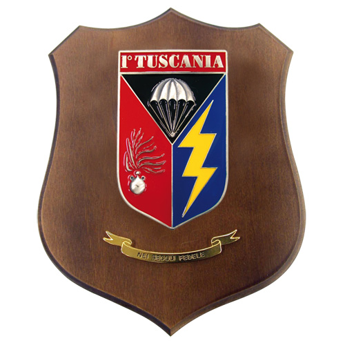 CREST CARABINIERI 1? TUSCANIA MIS CM 22,5X17,5